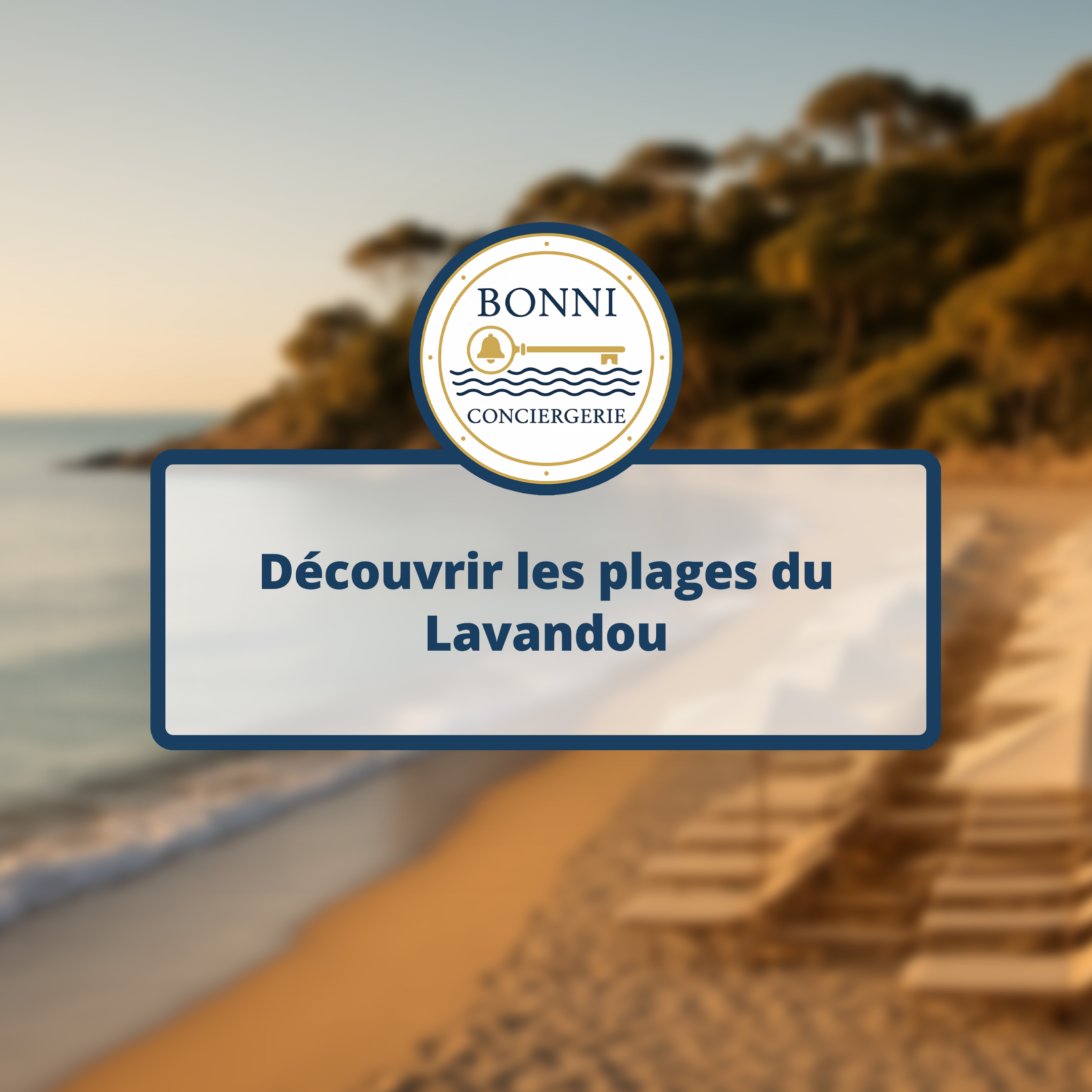 Découvrir les plages du Lavandou