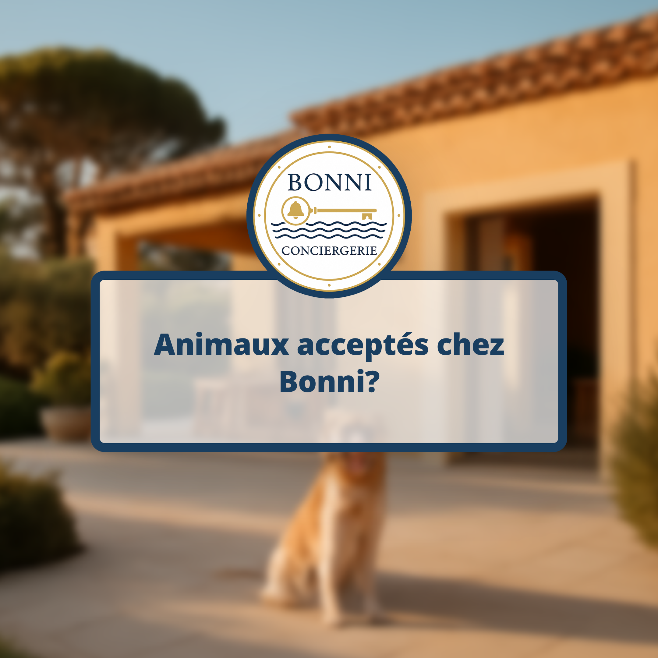 Animaux acceptés chez Bonni?